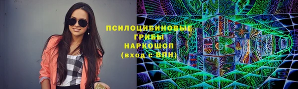 СК Аркадак